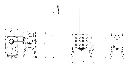 G1.webp