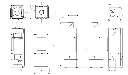 Ivy.webp