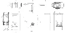 Sina.webp