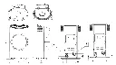 Clou pellet.webp