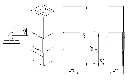 Cubic 166.webp