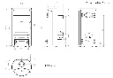 Corvus.webp
