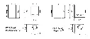 KE2.webp