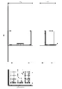 osorno.webp