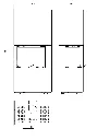 osorno L.webp