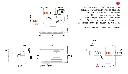 Panorama.webp