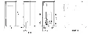 Livp.webp