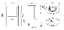 TT80RLS.webp